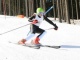Ski Serie Masters Českomoravský pohár