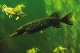 For Fishing 2012