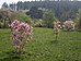 Botanická zahrada