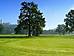 Golfový klub Hluboká nad Vltavou