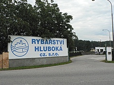 Rybářství Hluboká cz., s.r.o. Rybářství Hluboká cz., s.r.o.