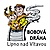 Slideland - Bobová dráha Lipno