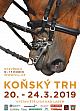 Jezdecký festival - Jaro s koňmi Jezdecký festival - Jaro s koňmi